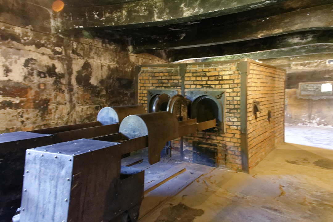 20160511-142059••Oswiecim•Lesser Poland Voivodeship•Poland